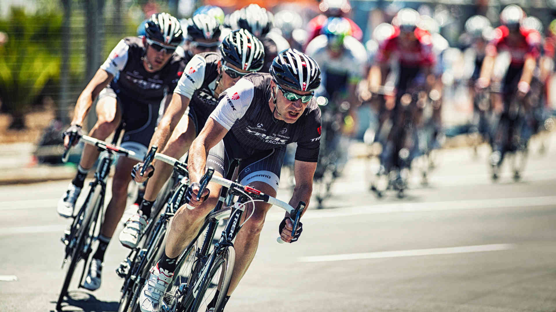 Trek Bikes Road Cyclists